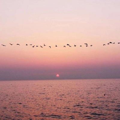 乱世无双变态版公益服下载